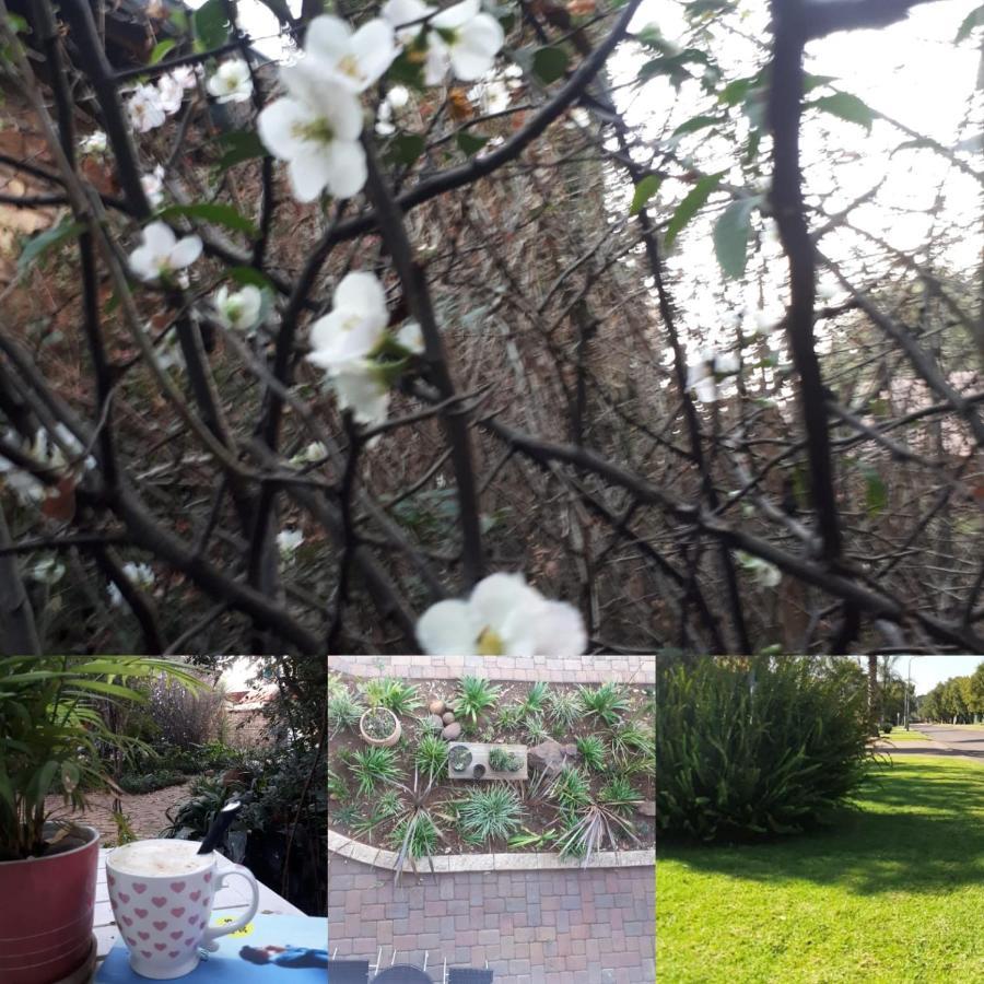 Aero Lodge Guest House Middelburg  Εξωτερικό φωτογραφία